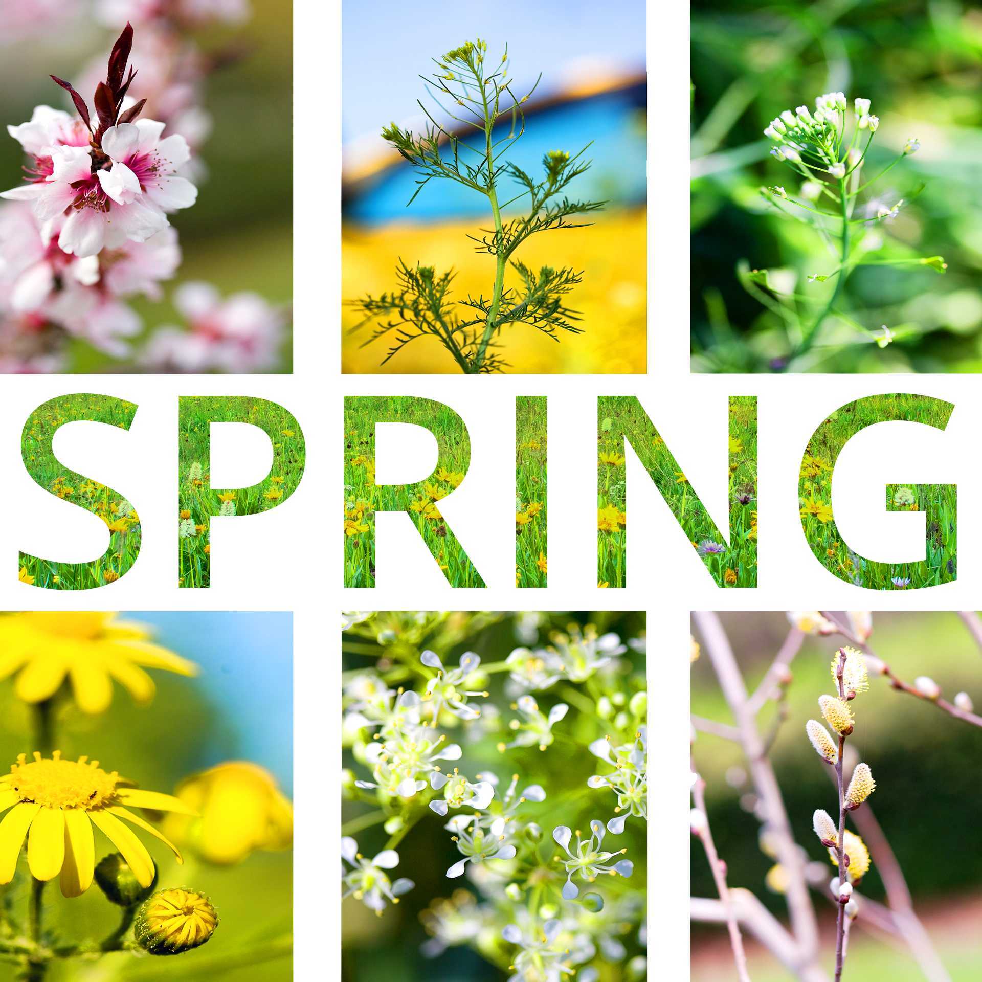 Prepare your skin for spring